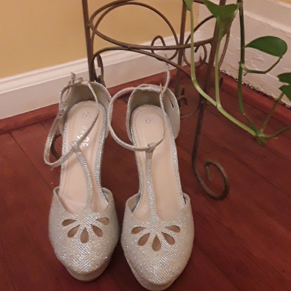 Wedge silver shoe